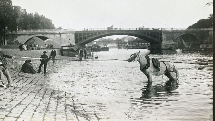 Fixed query for left navigation